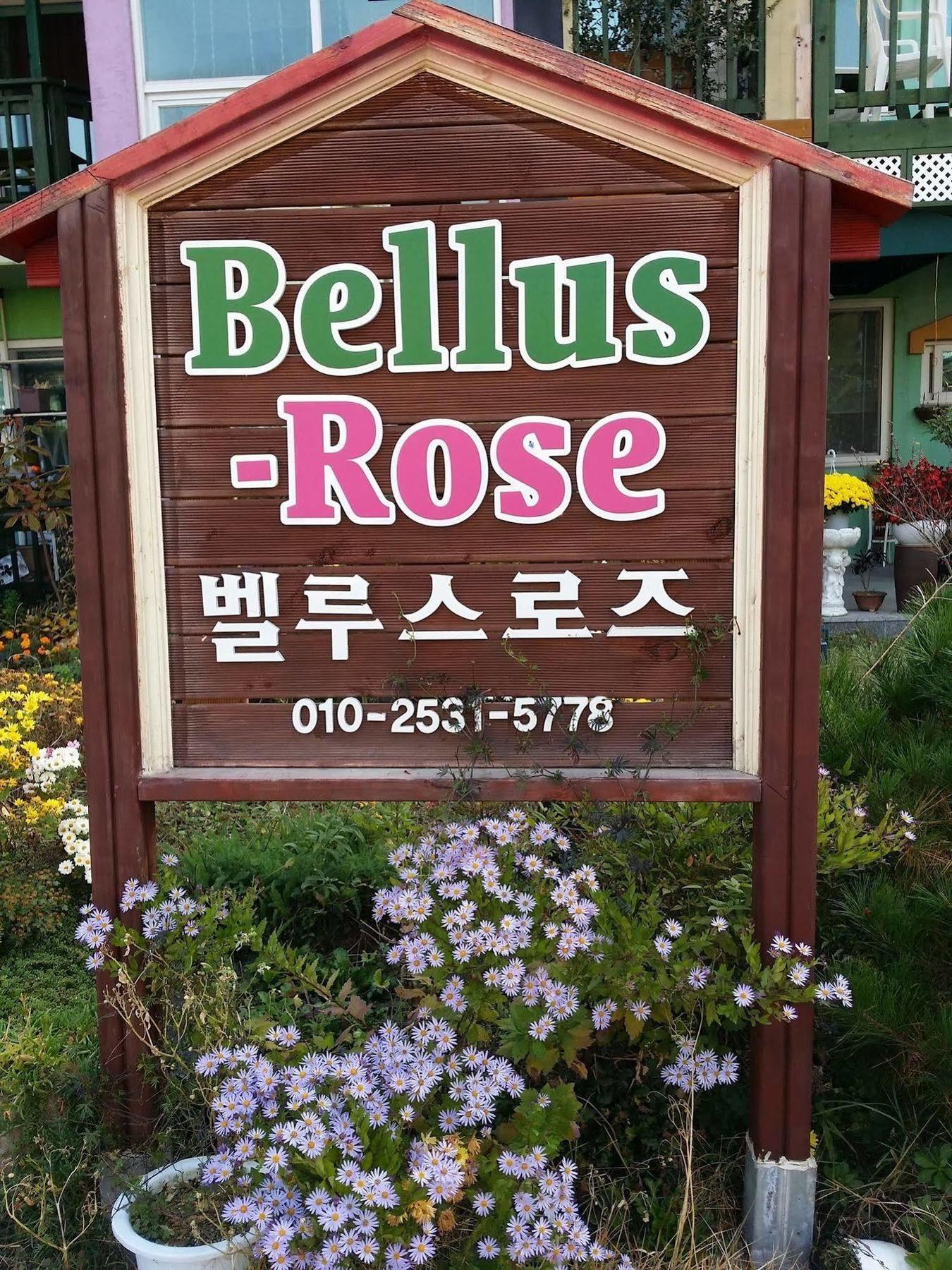 Bellus-rose Gyeongju